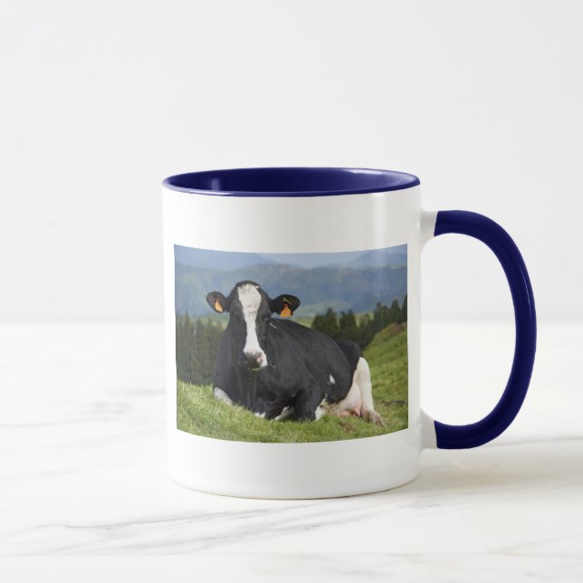 Holstein ko mugg (Höger)