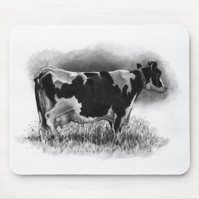 Holstein ko: Original ritar teckningen: Mejeri Musmatta (Framsidan)