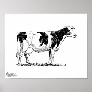 Holstein ko poster