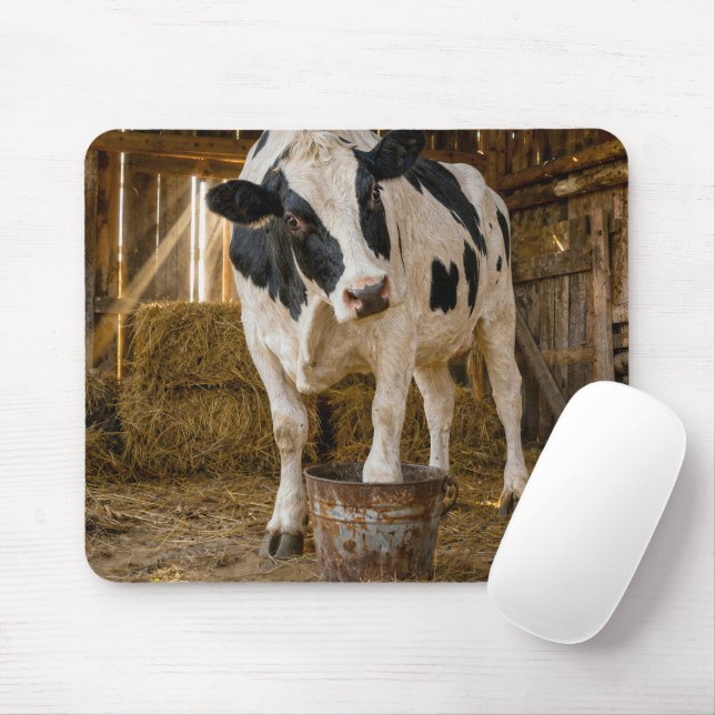 Holstein Ko Står i en Rostig Hink Musmatta (Med mus)