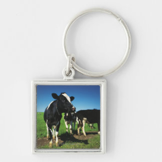 Holstein kor i ett fält fyrkantig silverfärgad nyckelring