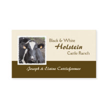 Holstein mejeri eller nötköttnötkreaturfoto