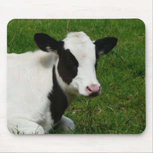 Holstein mejerimjölkko på gräs musmatta