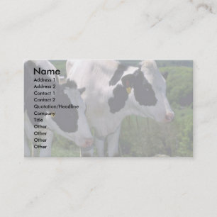 Holstein mejerinötkreatur visitkort