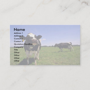Holstein mejerinötkreatur visitkort