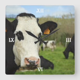 Holstein nötkreatur fyrkantig klocka