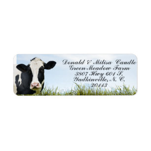 Holstein Returadress Etikett