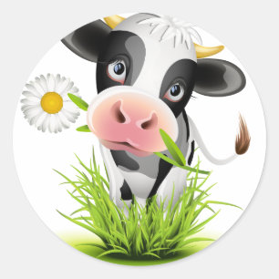 Holsteinko i gräs runt klistermärke
