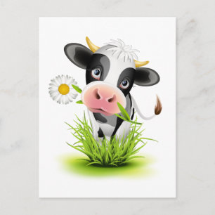 Holsteinko i gräs vykort