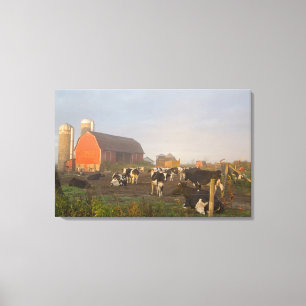 Holsteinmjölkkor utanför en lada vid soluppgång canvastryck