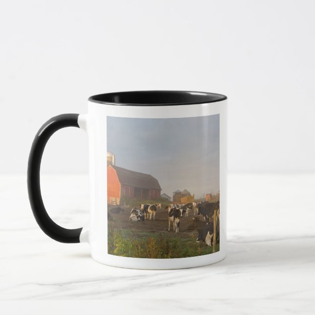 Holsteinmjölkkor utanför en lada vid soluppgång mugg (Vänster)