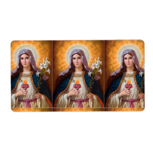 Holy Mother Mary Immaculate heart,St Mary,Catholic Fraktsedel