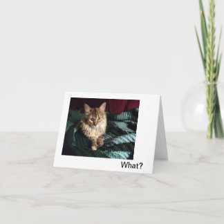 Homecoming Tack Kort