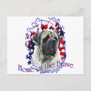 HomeofBrave Vykort
