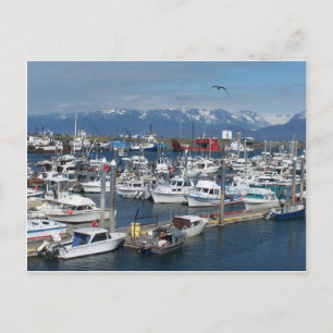 Homer Alaska Vykort