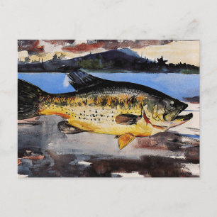 Homer - Bass. Vykort