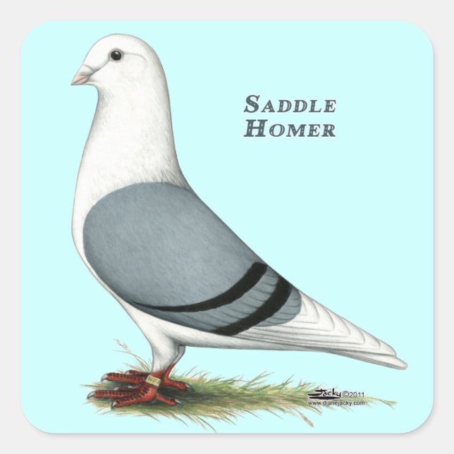 Homer Blue Saddle Fyrkantigt Klistermärke (Framsida)