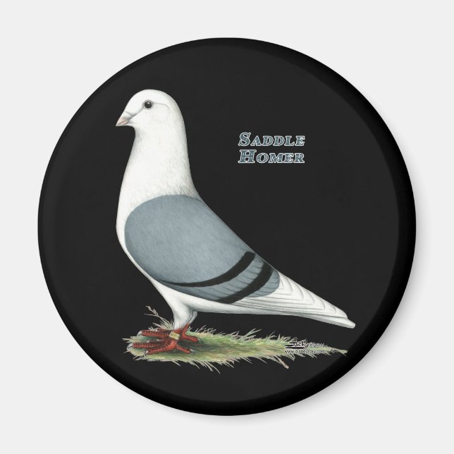 Homer Blue Saddle Magnet (Framsidan)