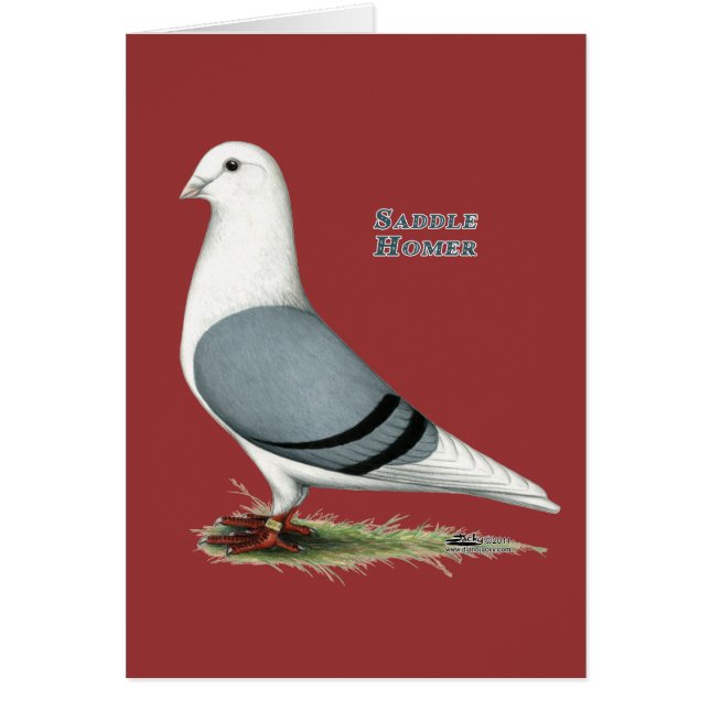 Homer Blue Saddle OBS Kort (Framsidan)