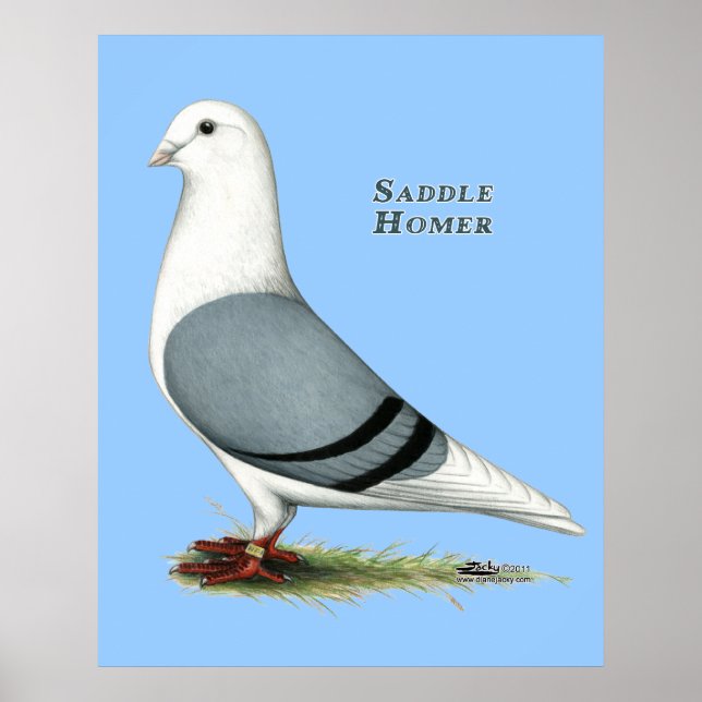 Homer Blue Saddle Poster (Framsidan)