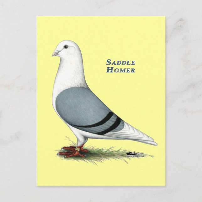Homer Blue Saddle Vykort (Framsida)