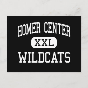 Homer Center - Wildcat - High - Homer City Vykort