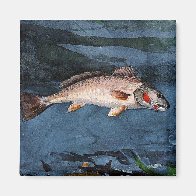 Homer - Channel Bass, Florida. Magnet (Framsidan)