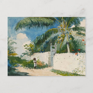 Homer Garden Nassau Vintage Tropical Watercolor Vykort