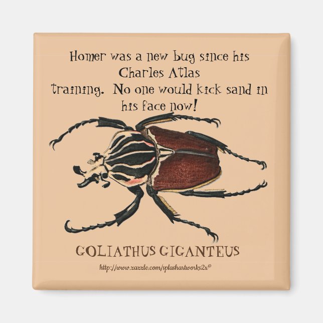 "Homer, Goliath Beetle" Magnet (Framsidan)