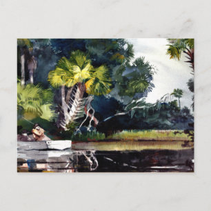 Homer - Homosassa Jungle Vykort
