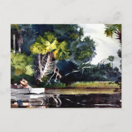 Homer - Homosassa Jungle Vykort