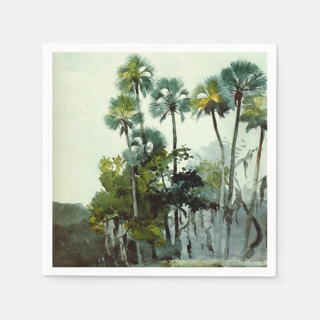 Homer - Homosassa River, bra art. Pappersservett (Framsidan)