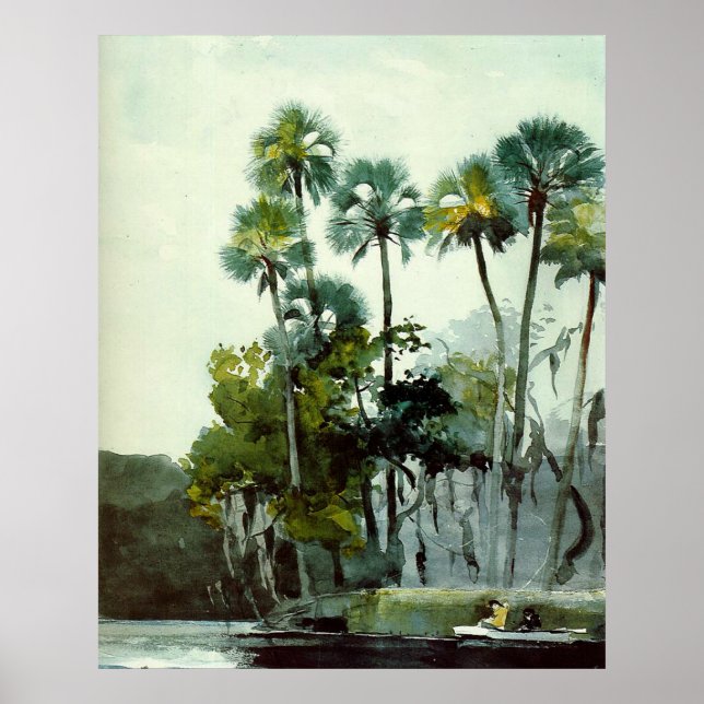 Homer - Homosassa River Poster (Framsidan)