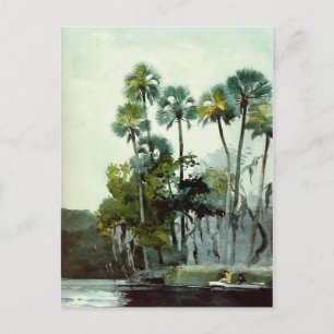 Homer - Homosassa River Vykort