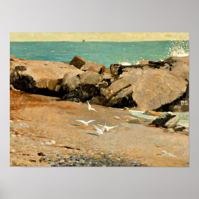 Homer - Rocky Kusten och Gulls, bra art Poster (Framsidan)
