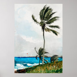 Homer's Handflatan Träd, Nassau Poster