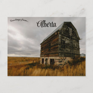 Homestead i södra Alberta Kanada Vykort