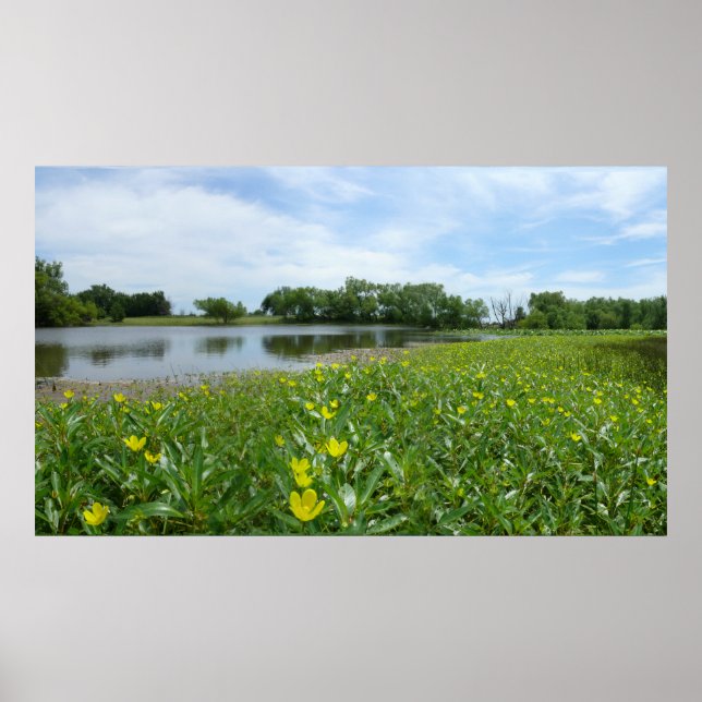 Homestead Pond Poster (Framsidan)