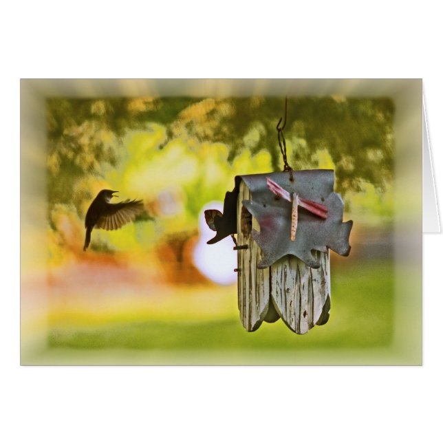 Homeward Bound Hälsningskort (Framsidan Horizontal)