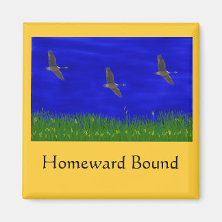 HOMEWARD BOUND MAGNET