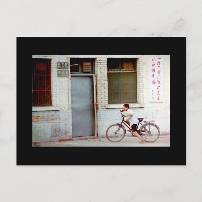 Homeward Bound Vykort (Framsida)