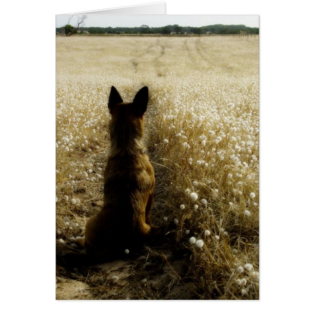 Homeward destinerat hälsningskort (Framsidan)