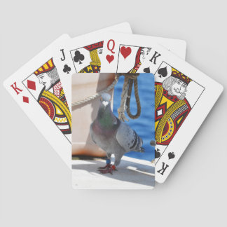 Homing Pigeon Casinokort
