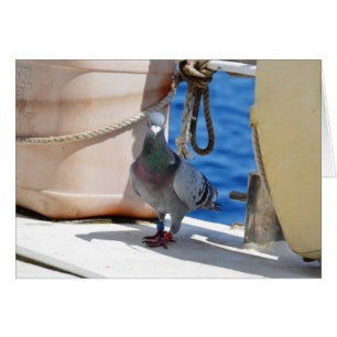 Homing Pigeon Hälsningskort
