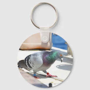 Homing Pigeon On A Yacht Nyckelring