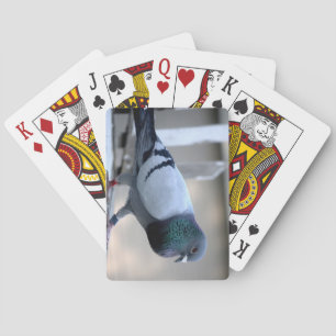 Homing Pigeon på Loft-spelkort Spel Kort