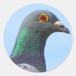 Homing Pigeon Round Sticker Runt Klistermärke