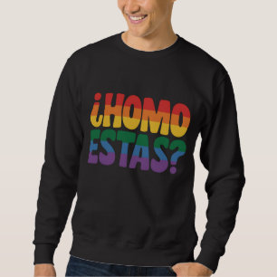 Homo Estas Rolig Spansk Mexikansk Gay Allierad LGB Lång Ärmad Tröja