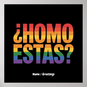 Homo Estas Spanska mexikanskt finare Gay pride-mån Poster