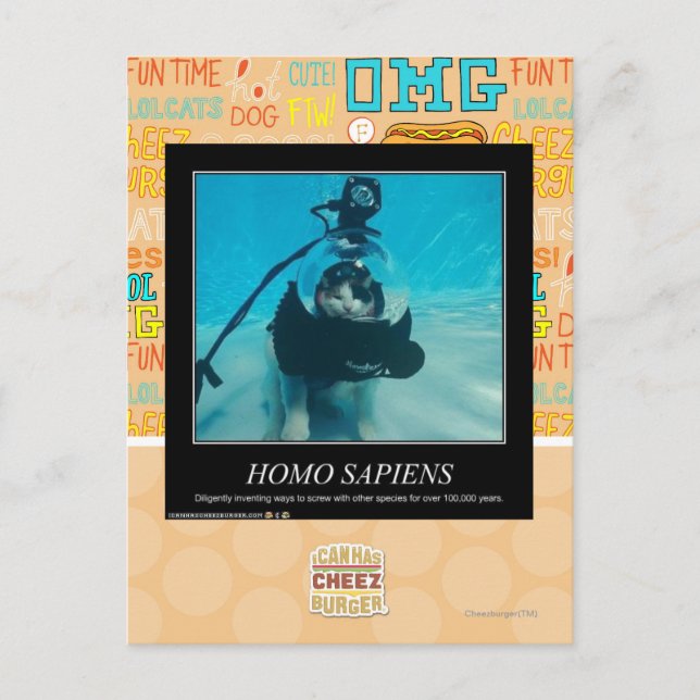 Homo Sapiens Vykort (Framsida)